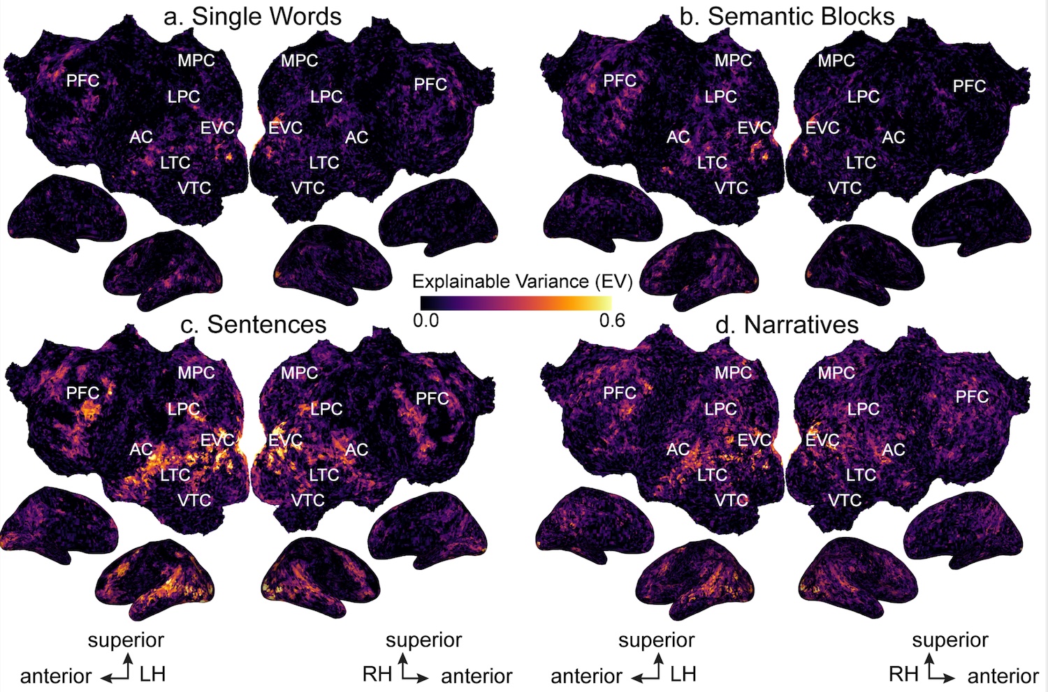 Deniz et al. J. Neuroscience paper