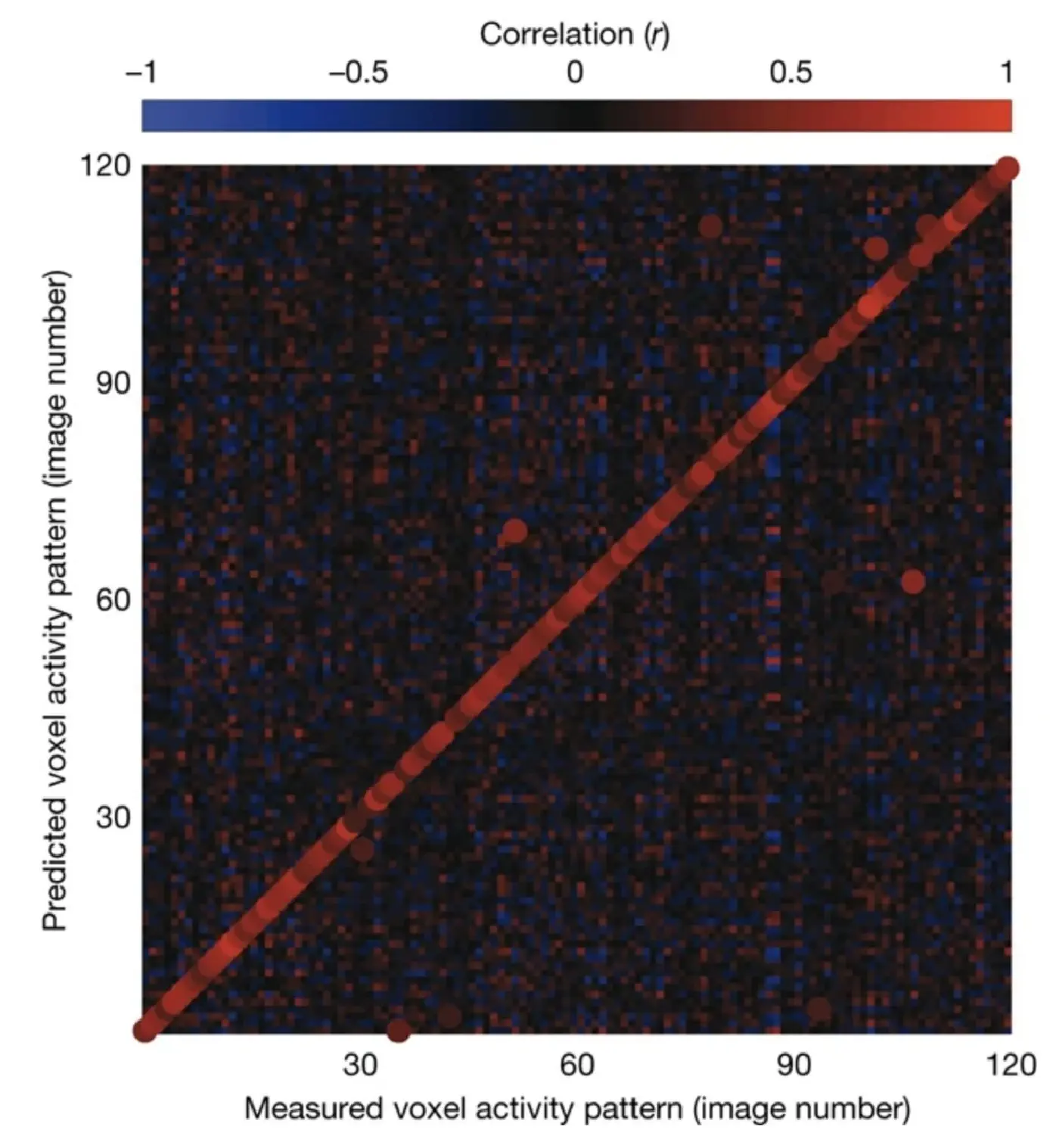 Natural Images fMRI Data (vim-1)