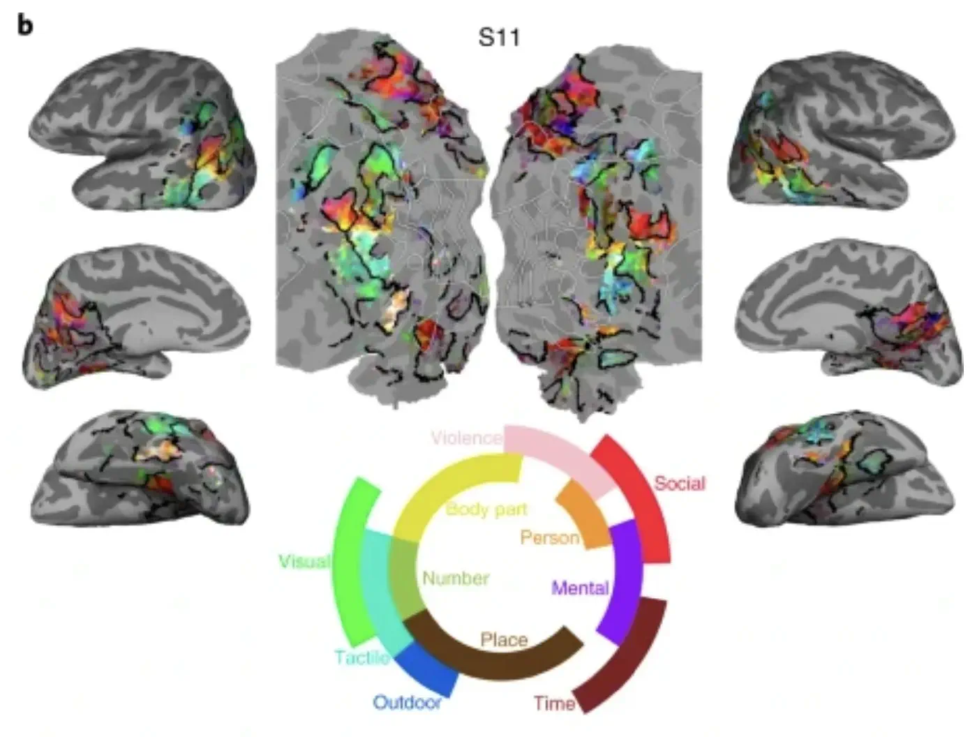 Natural Short Clips 3T fMRI Data