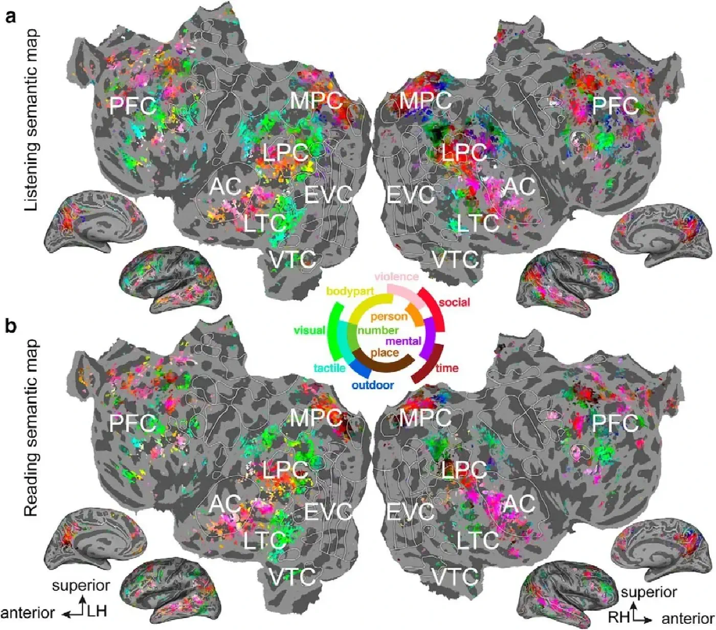 Semantic Listening vs Reading fMRI Data
