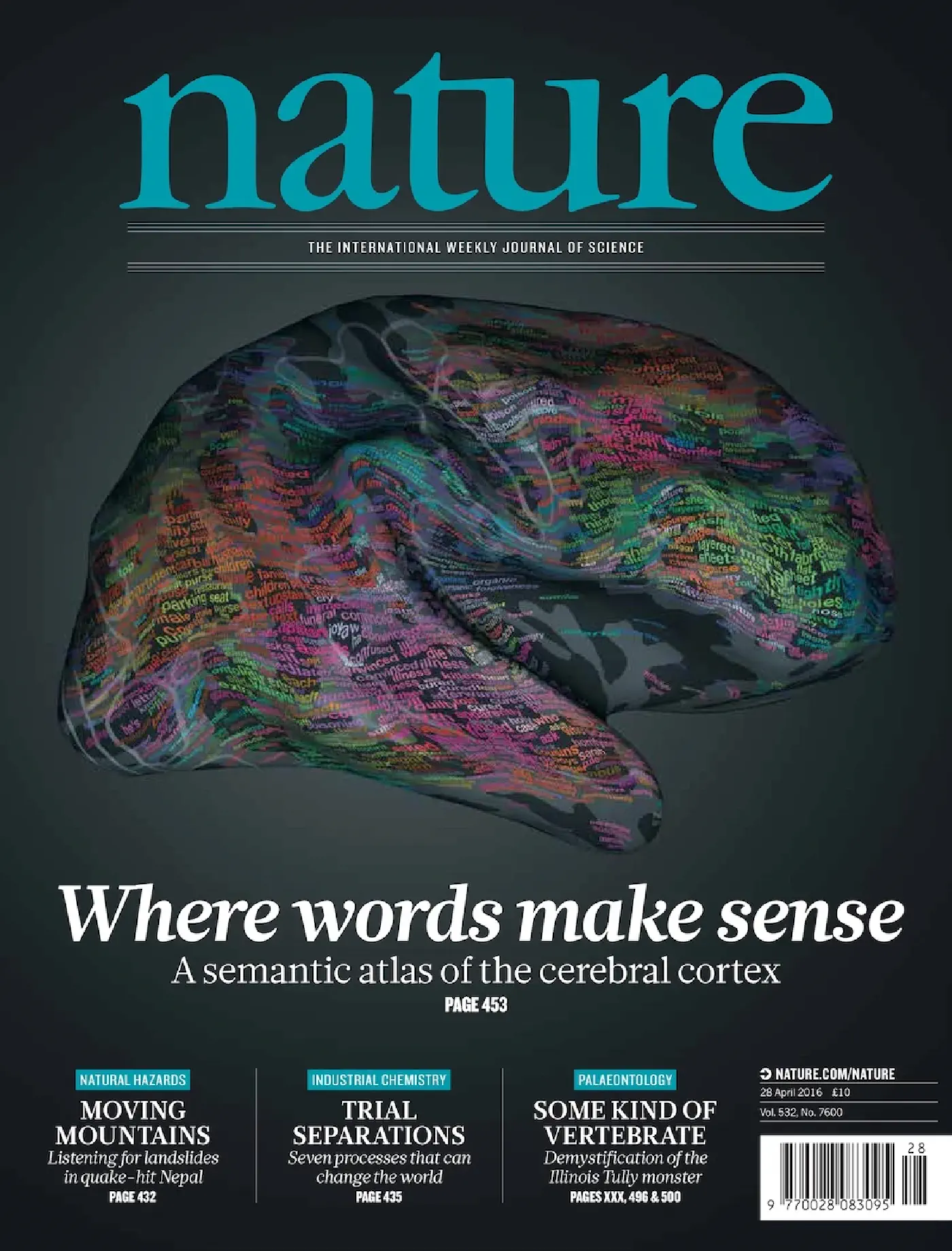 Story Listening fMRI Data