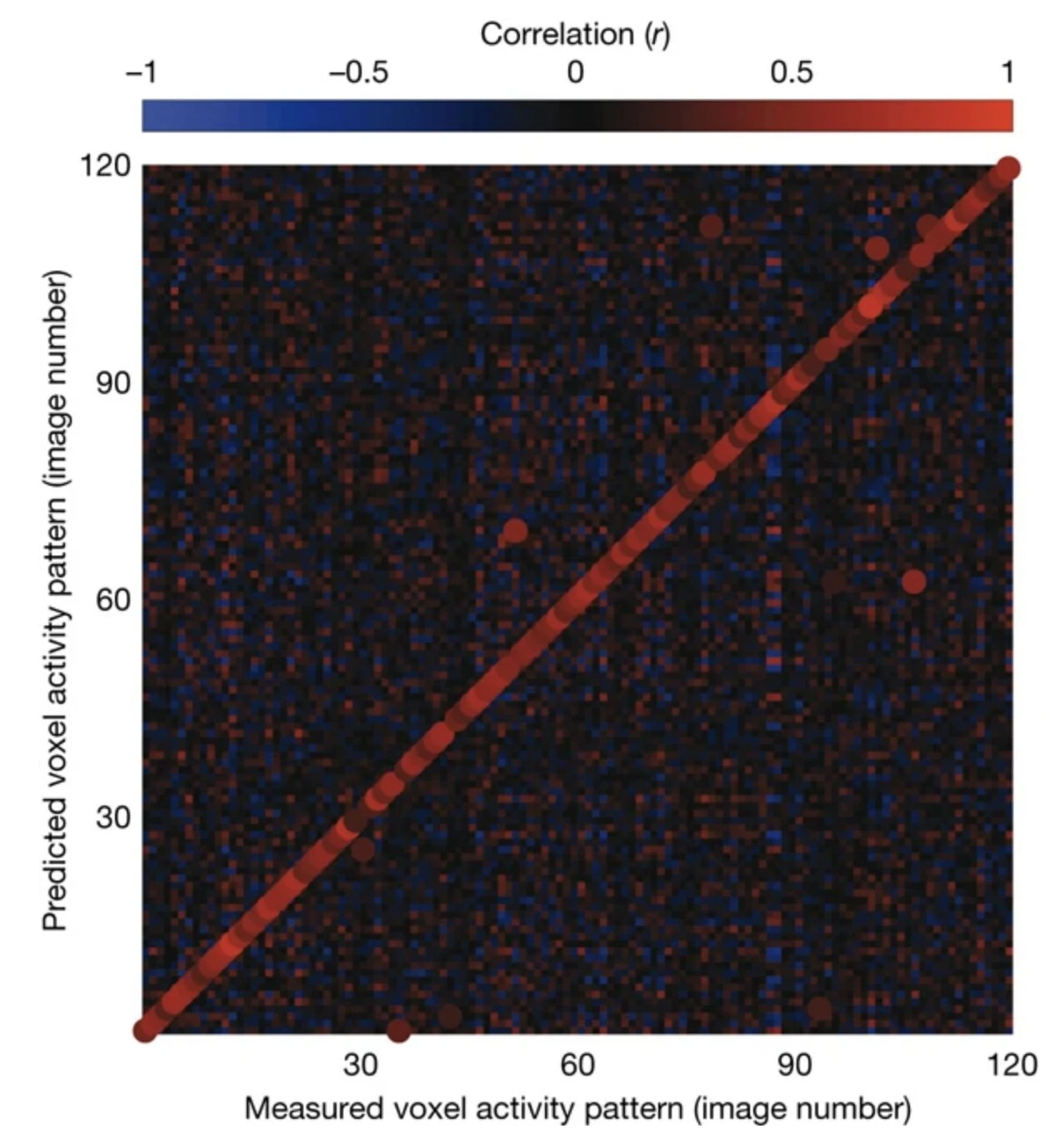 Gallant Lab Natural Images fMRI Dataset