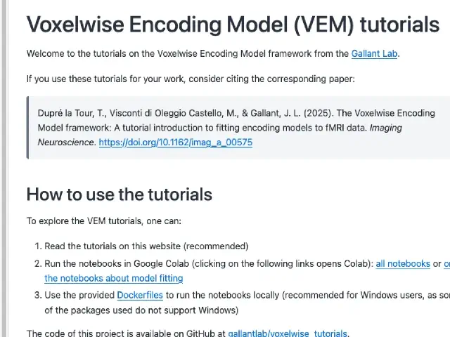 Voxelwise Encoding Model tutorials