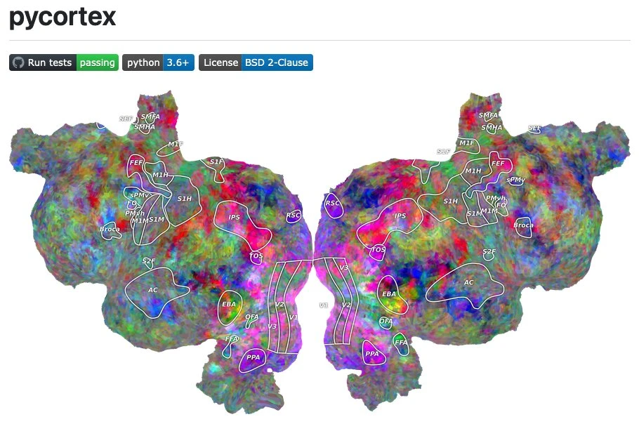 pycortex