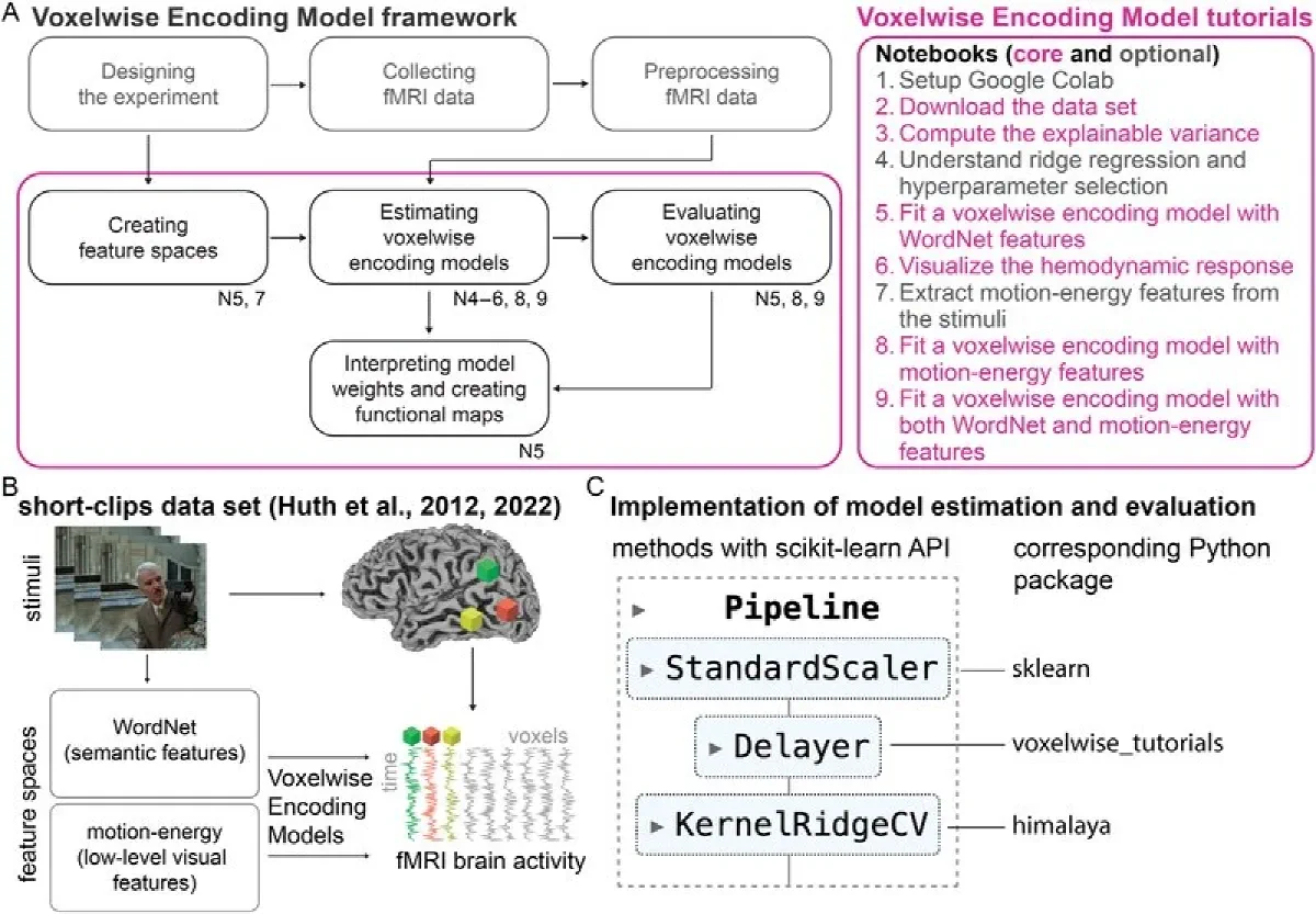 The Voxelwise Encoding Model framework: A tutorial introduction to ...