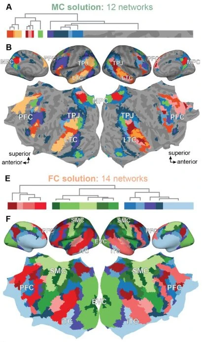 Meschke et al. preprint