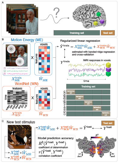 Voxelwise Encoding Model guide
