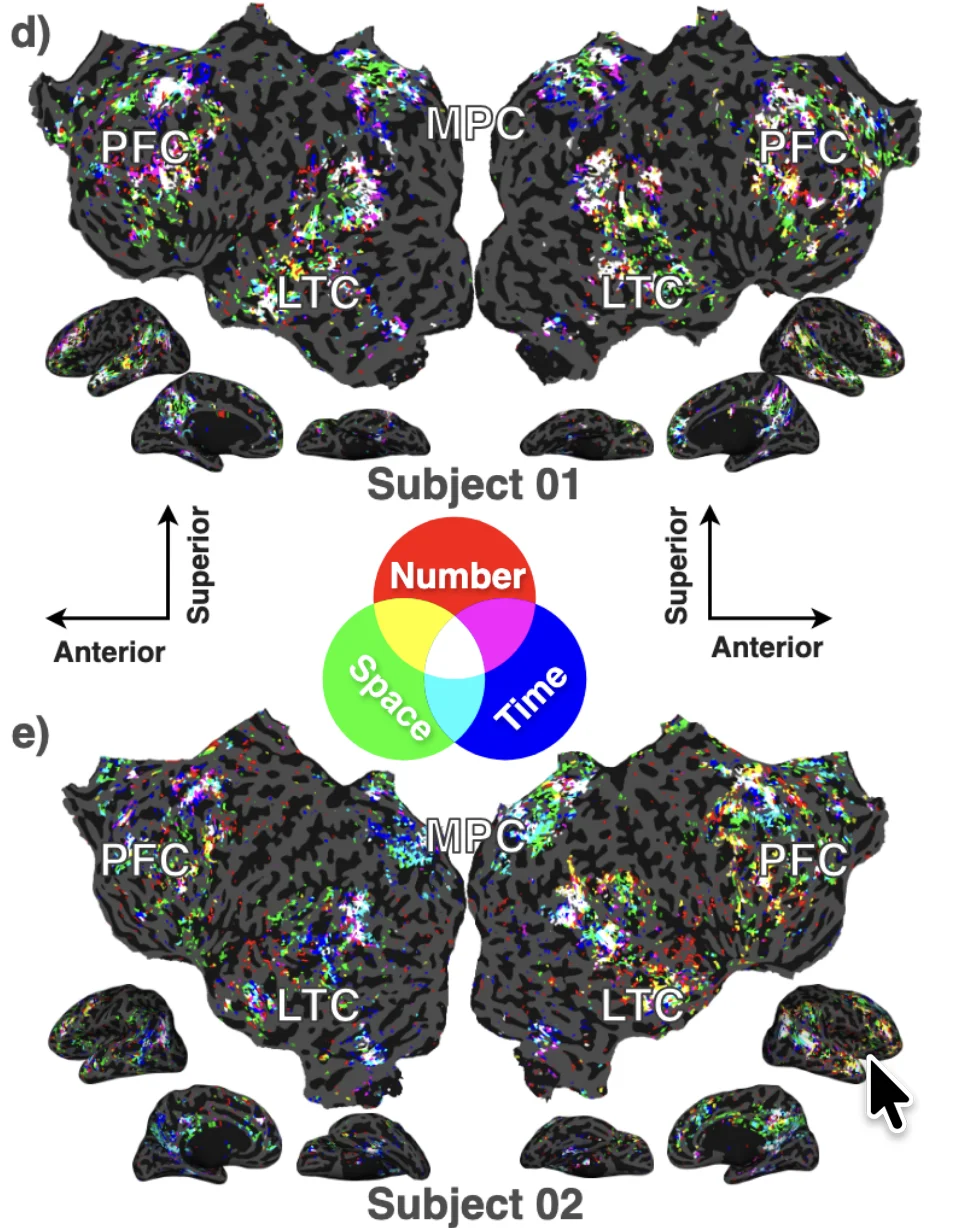 Zeng and Gallant 2025 NeurIPS