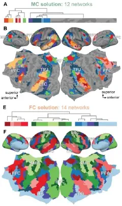 New preprint from Meschke et al. comparing functional connectivity and model connectivity...