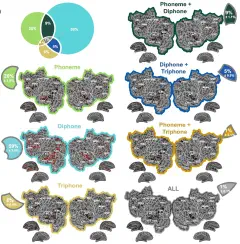 New paper from Gong et al. on phonemic segmentation of narrative speech...
