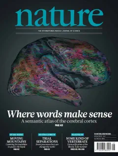 We've created a new brain viewer that provides a way to inspect...