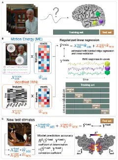 Our latest review paper on the Voxelwise Encoding Model (VEM) framework from...