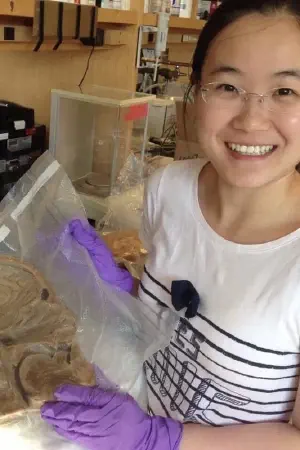 Lily Xue Gong, PhD