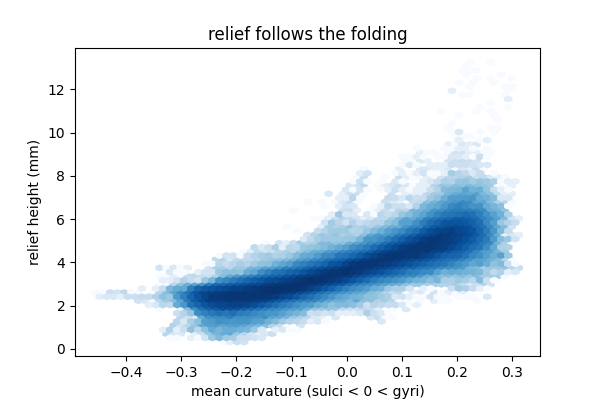 relief follows the folding
