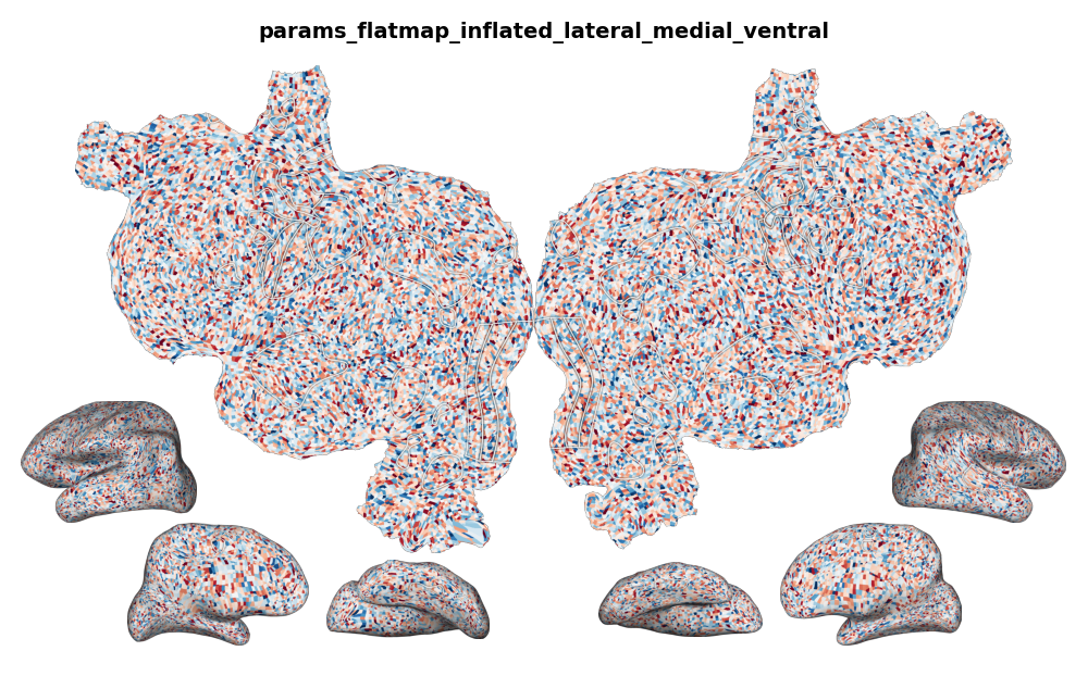 params_flatmap_inflated_lateral_medial_ventral