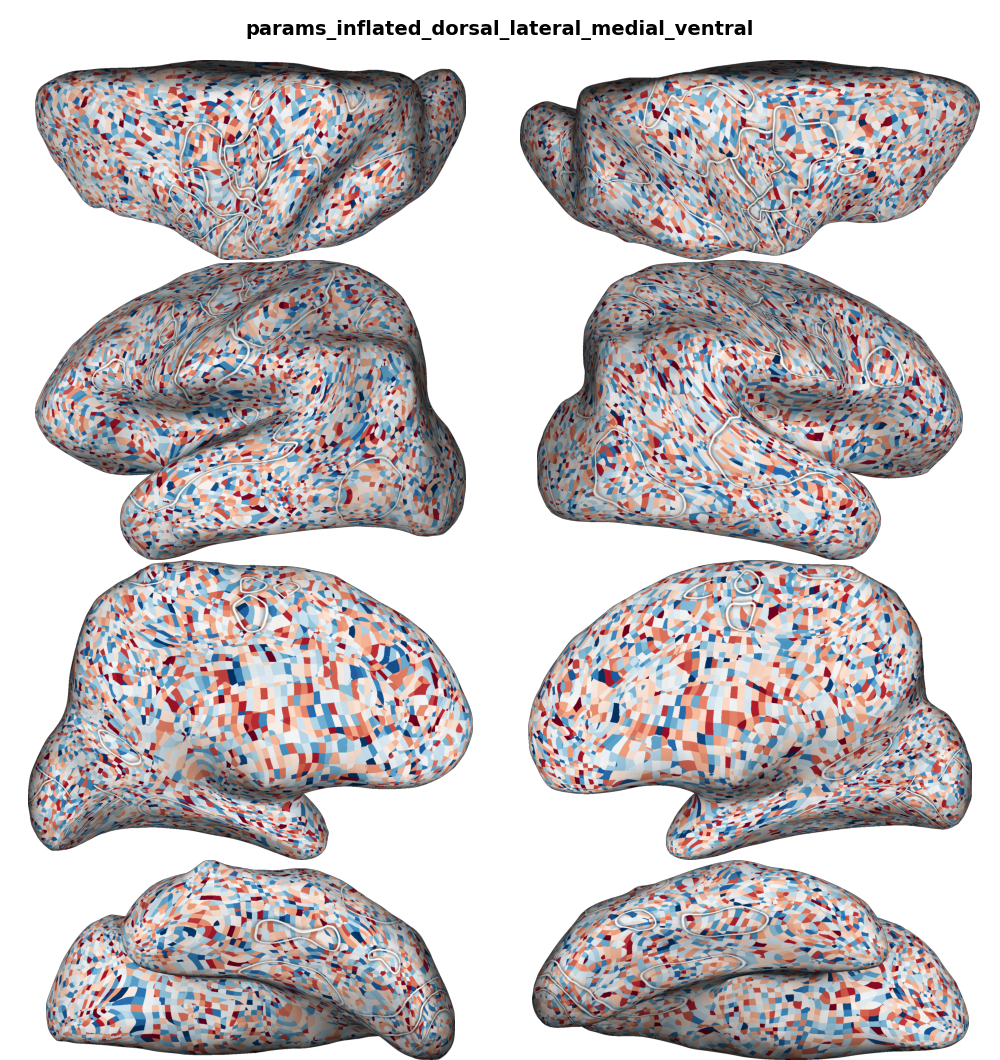 params_inflated_dorsal_lateral_medial_ventral