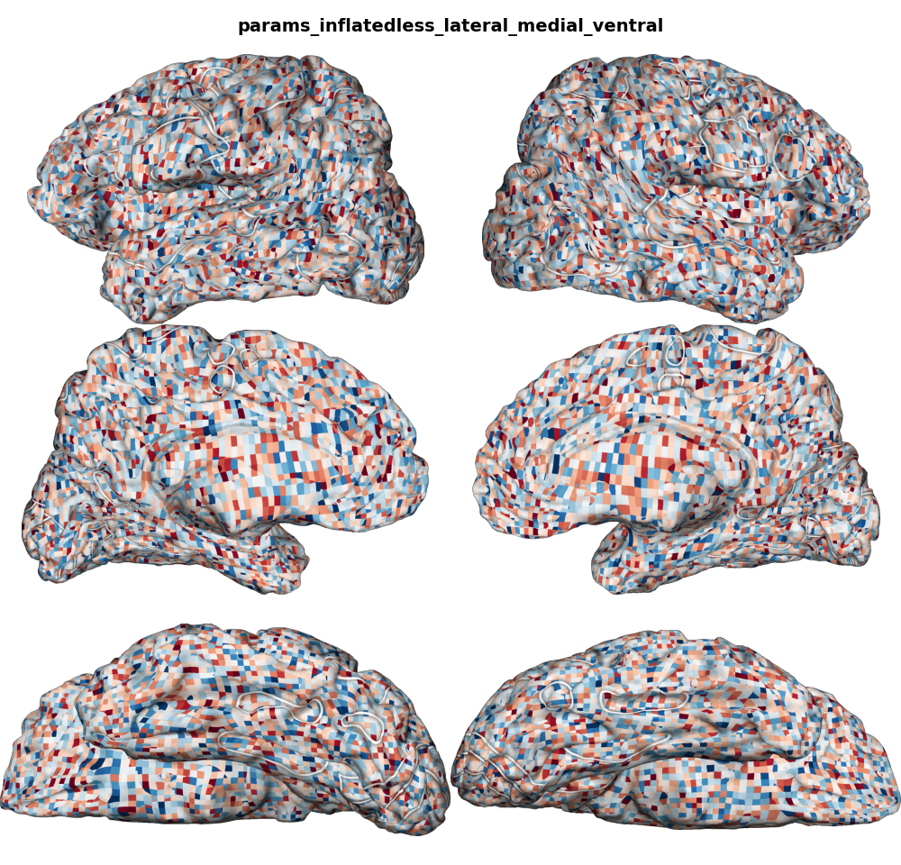 params_inflatedless_lateral_medial_ventral