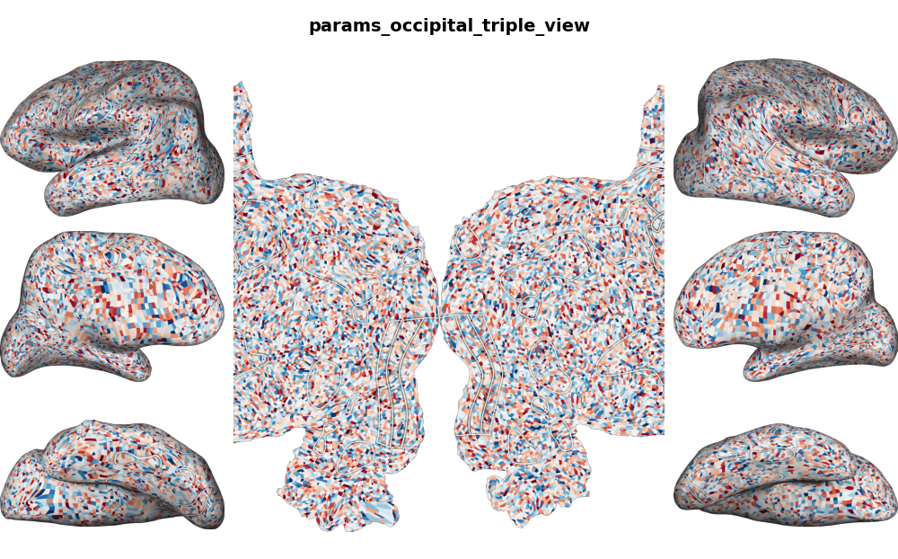 params_occipital_triple_view