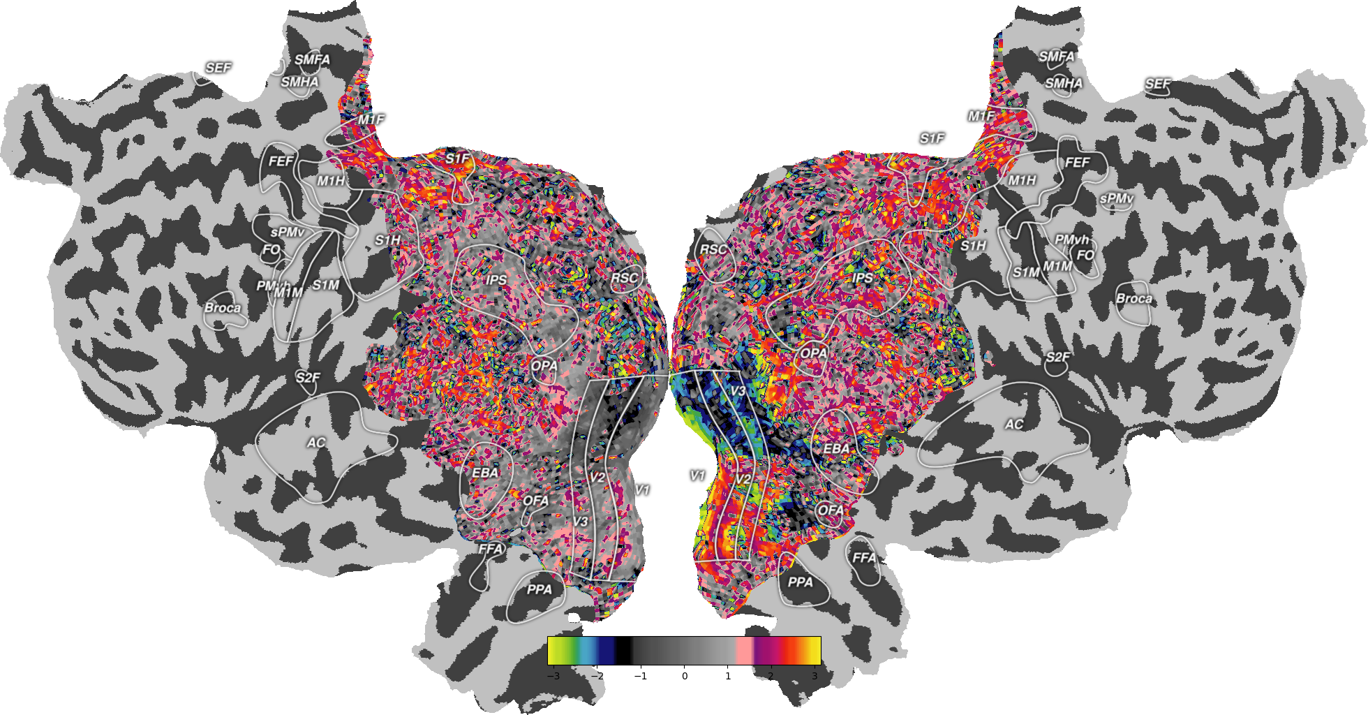 plot retinotopy flatmap