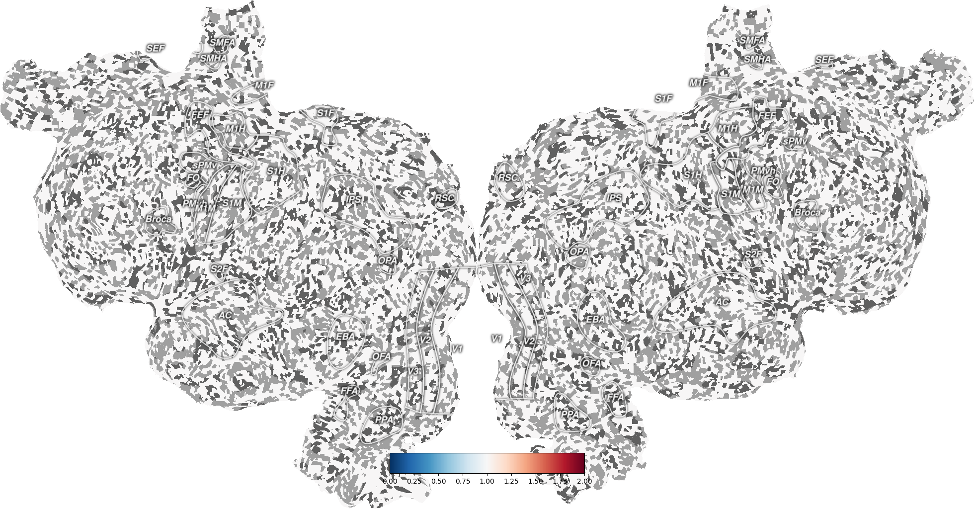 plot thickness nanmean