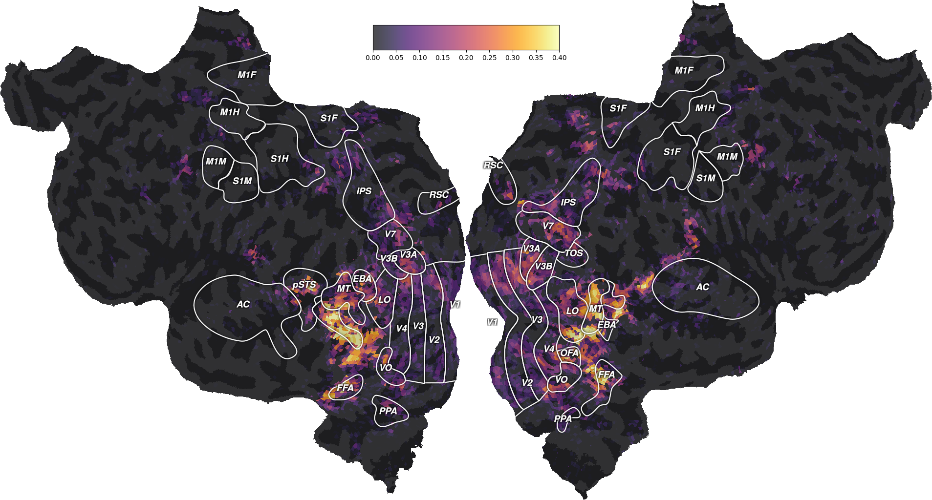 03 plot wordnet model