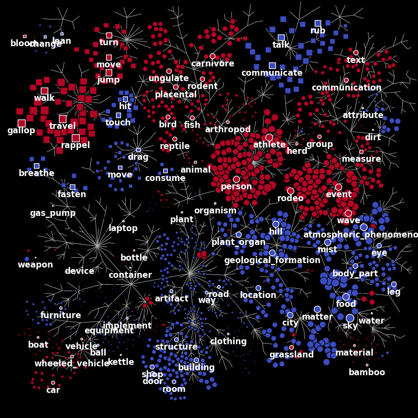 03 plot wordnet model