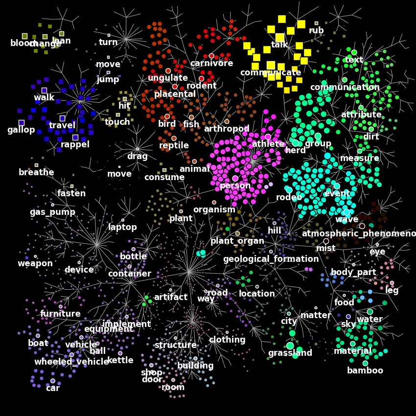 03 plot wordnet model