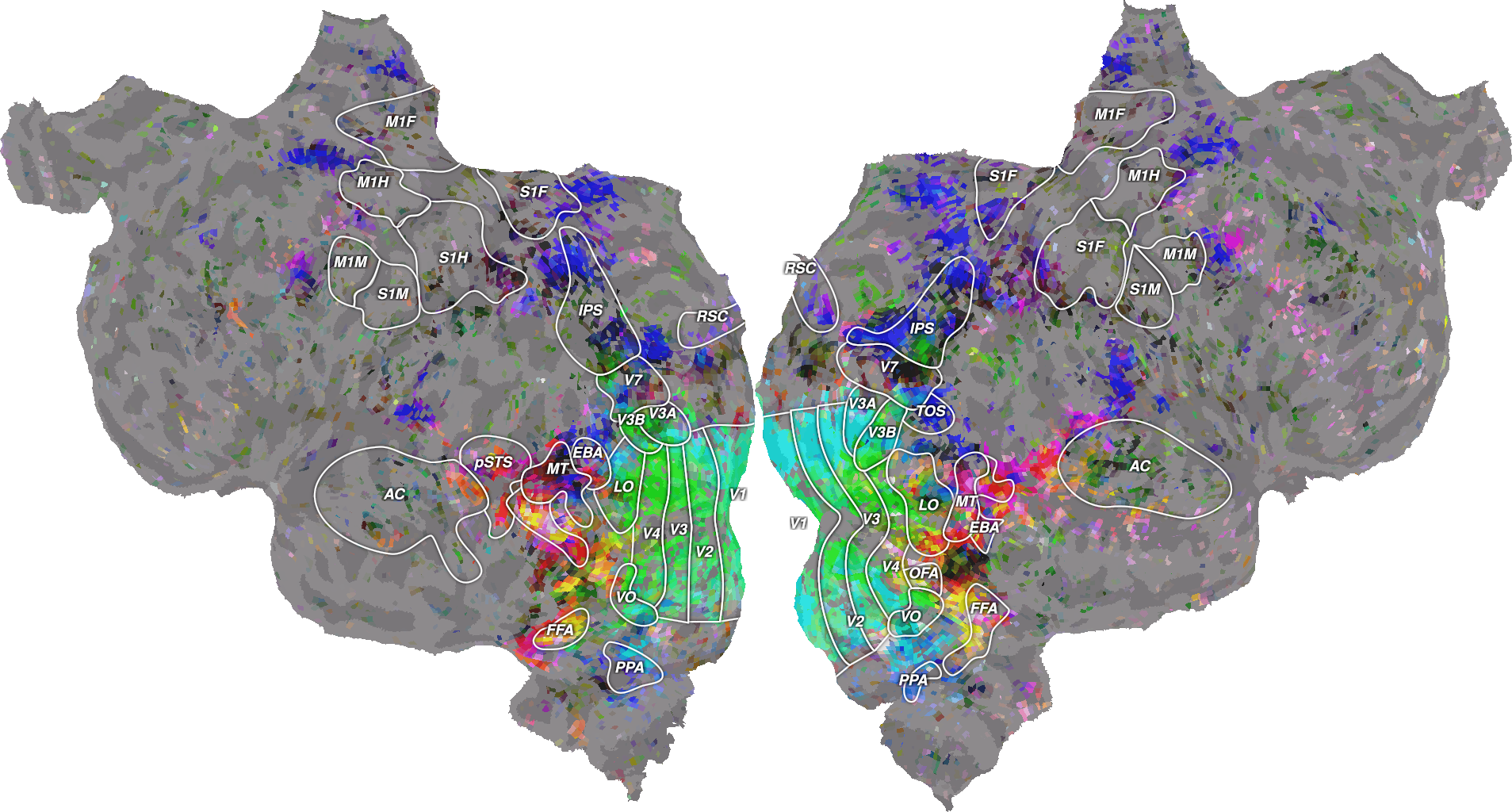 03 plot wordnet model